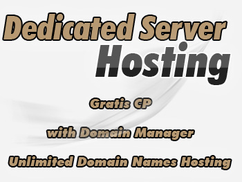 Economical dedicated servers services